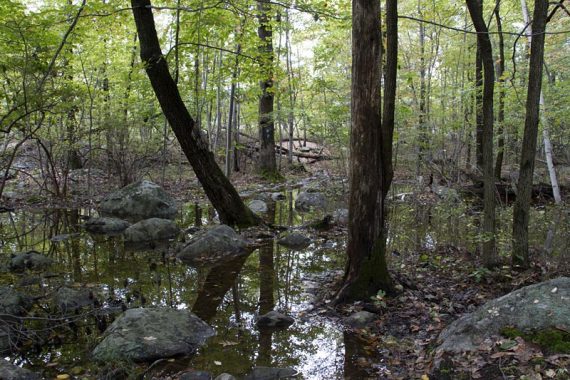 Soggy trails