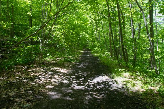 Easy abandoned rail line trail