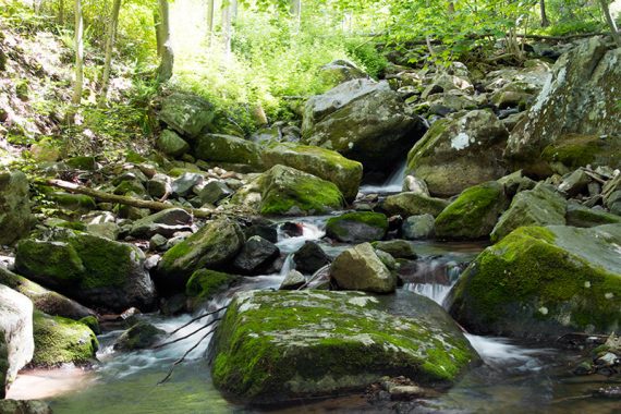 Cascades along the ORANGE trail