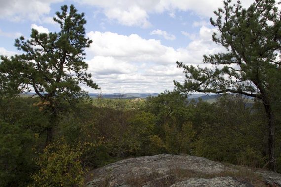 View from Carris Hill