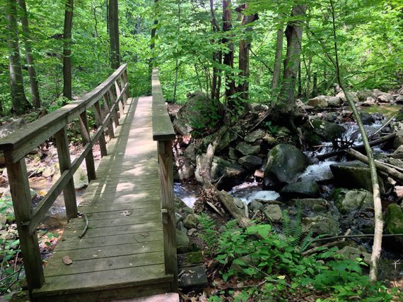 Bridge along the ORANGE trail