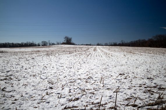 Field covered with a dusting of snow