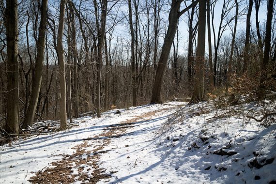 Lakeside Loop with light coating of snow