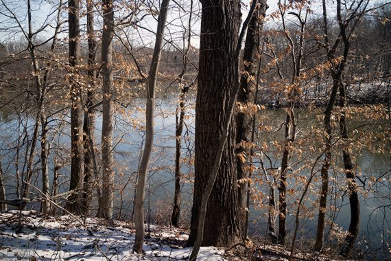 Perrineville Lake