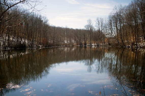 Pond along Rocky Brook Trail