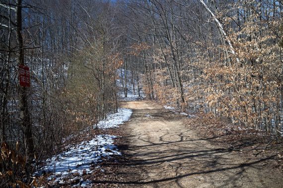 Path near Rocky Brook