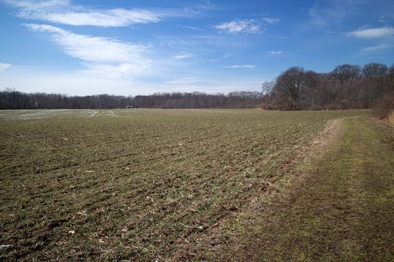 Large open field along Rocky Brook trail