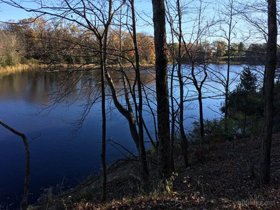 View of the Reservoir