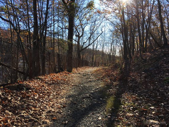 Connector trail along woods road