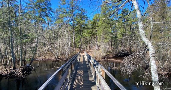 Bridge on Tom's Pond Trail/