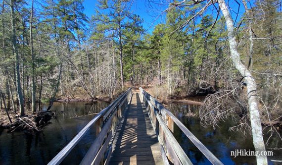 Long wooden trail bridge over a stream with pine trees surrounding it