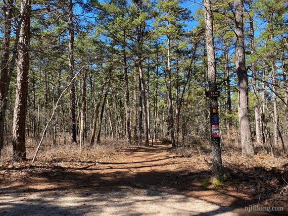 Tom's Trail trailhead.