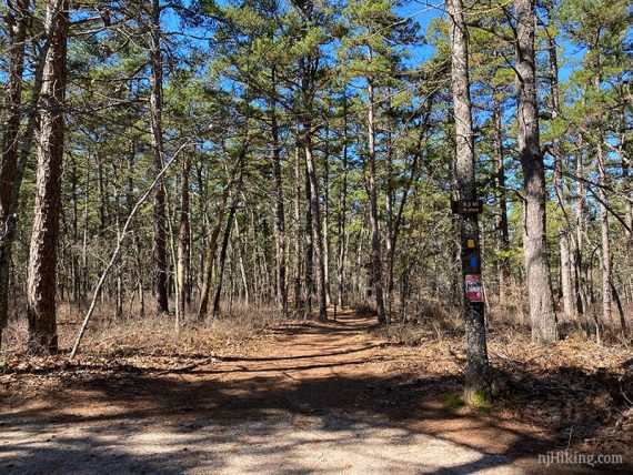 Tom's Trail trailhead