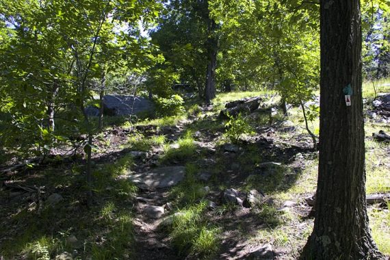 Stonetown Circular trail is blazed red triangle on white, and is co-aligned with the Highlands trail for part of it.