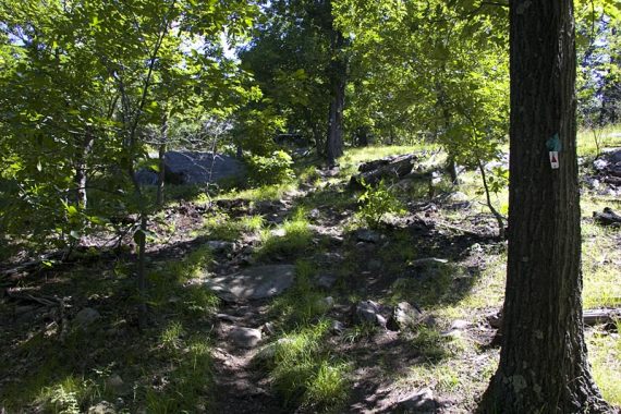 Stonetown Circular trail is blazed red triangle on white, and is co-aligned with the Highlands trail for part of it.