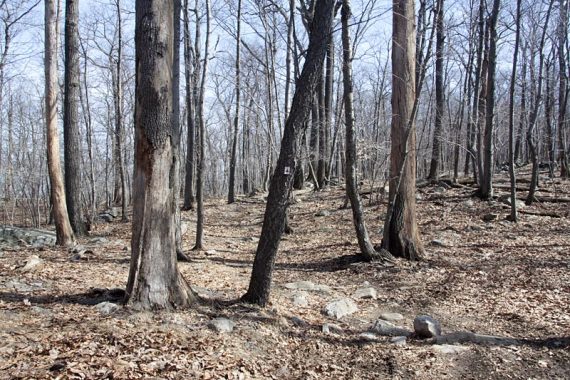 Start out on Stonetown Circular trail