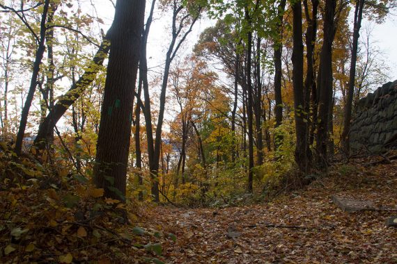 Closter Dock trail