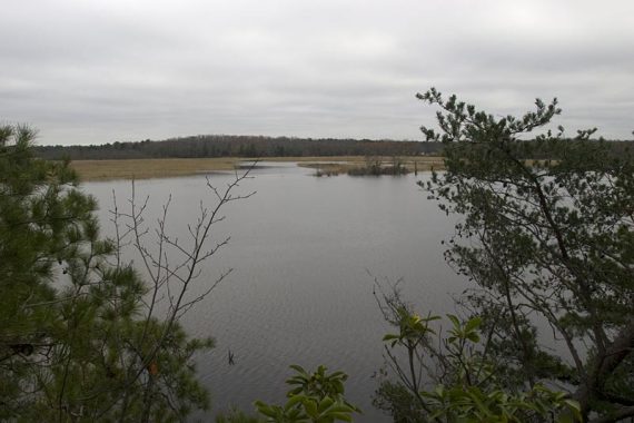 Maurice River.