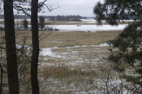Maurice River.