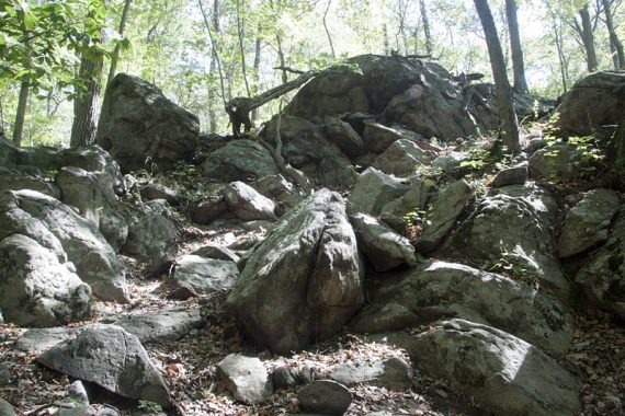 Large jumble of rocks along a trail.
