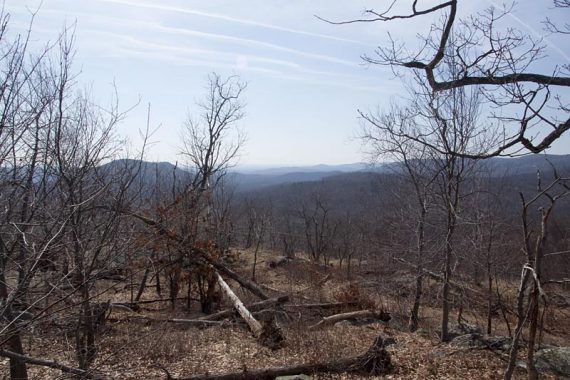 View on Horse Pond Mountain trail