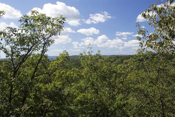 Limited view from Four Birds trail.