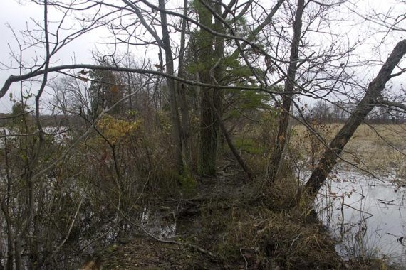 Trail along a skinny section of land.