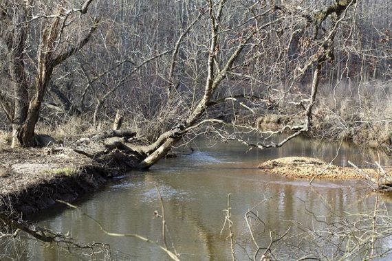 Mantua Creek Trail