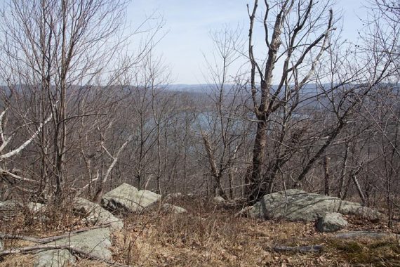 Ridge view along Horse Pond Mountain trail