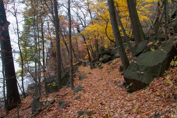 Shore Trail