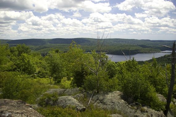 Yet more views; from Bear Mtn