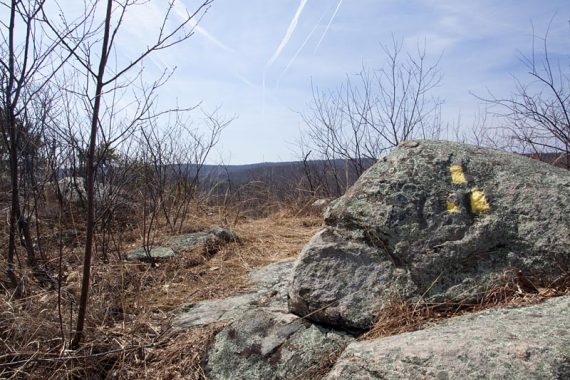 Burnt Meadow trail starts, drop down steeply here.