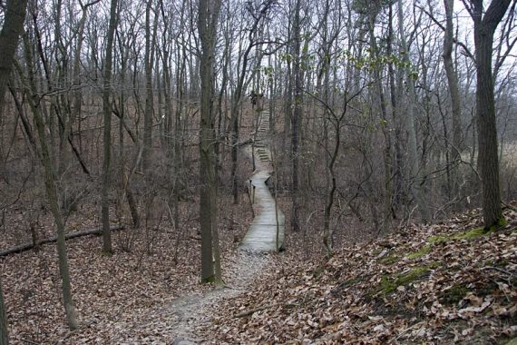More boardwalks