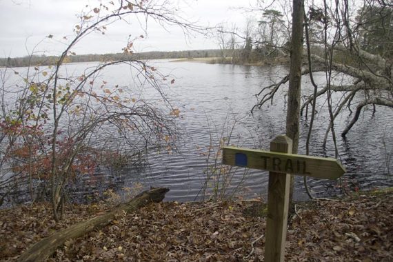 Blue trail marker near the edge of water.