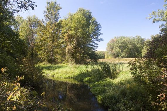 View from the 2nd bridge.