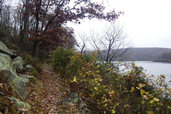 Trail running adjacent to a lake.