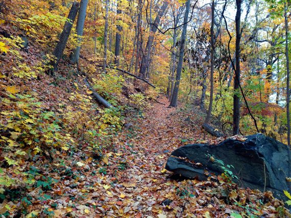 Huyler's Landing trail