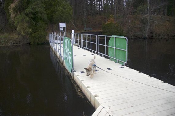 Floating dock with a dog on it.