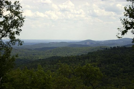 View from Harrison Mountain