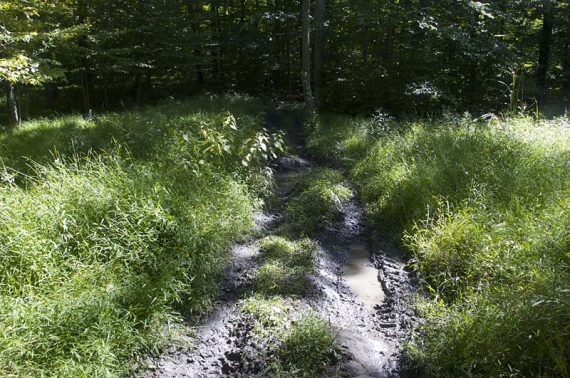 Lake to Lake Trail