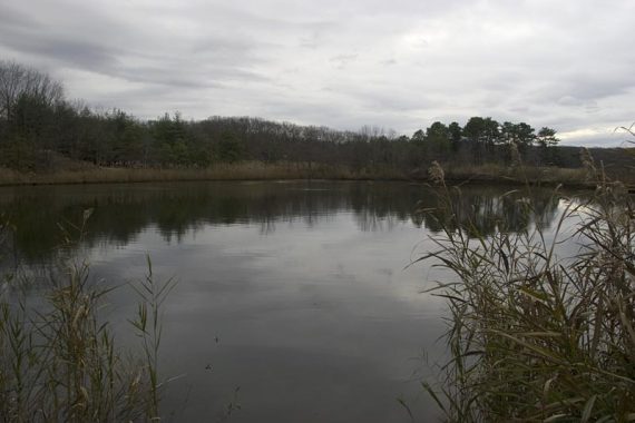 Perrine Pond