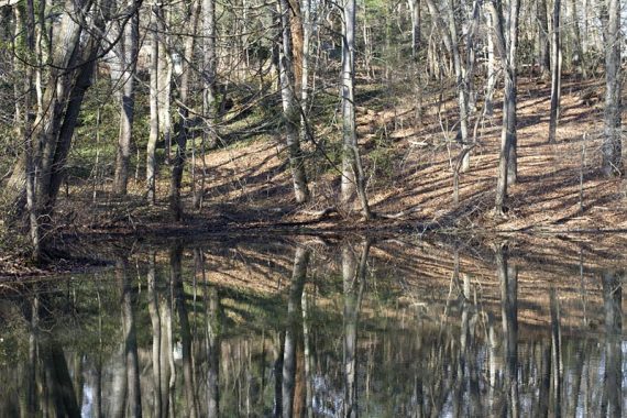 Comey's Lake