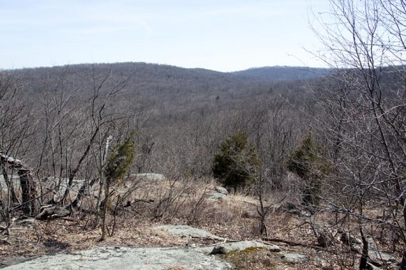 View on Burnt Meadow trail
