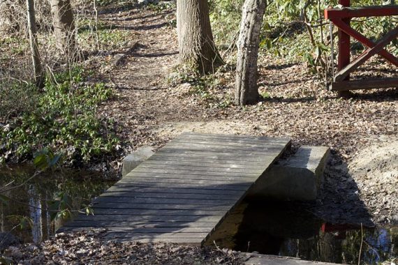 Cross over to the other side of the lake at the Tea House