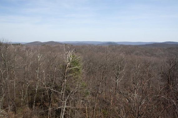 View on Overlook Trail