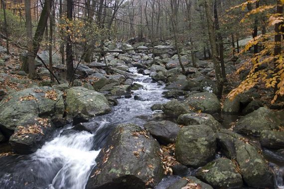 Water cascading over rocks in Stony Brook in Harriman State Park.