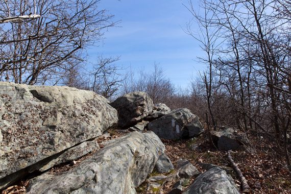 Two white blazes indicating a left turn up on to rocks.