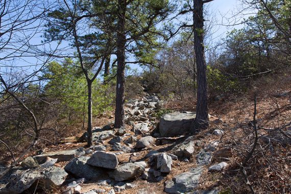 Hiking up Rattlesnake Mountain on a very rocky path.