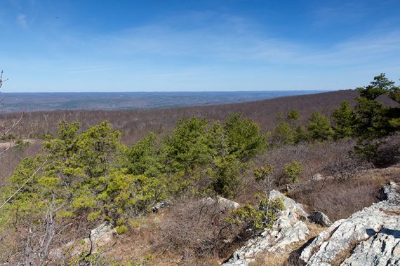 View from Rattlesnake Mountain.