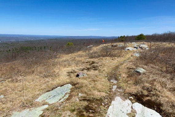 View from Blue Mountain.